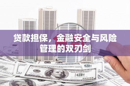 天元贷款担保，金融安全与风险管理的双刃剑