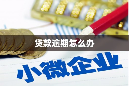 肇庆贷款逾期怎么办