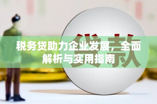 虾峙税务贷助力企业发展，全面解析与实用指南