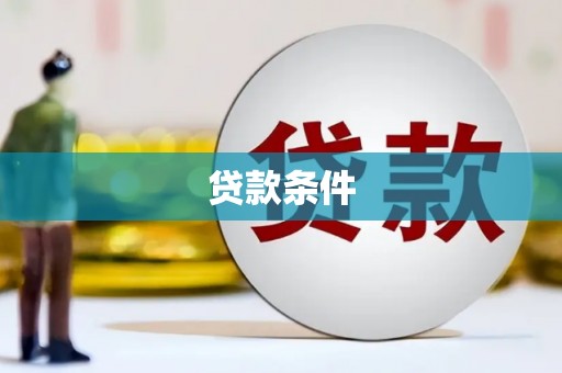 普格贷款条件