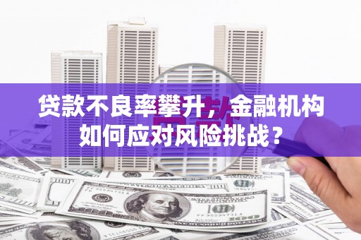 将军贷款不良率攀升，金融机构如何应对风险挑战？