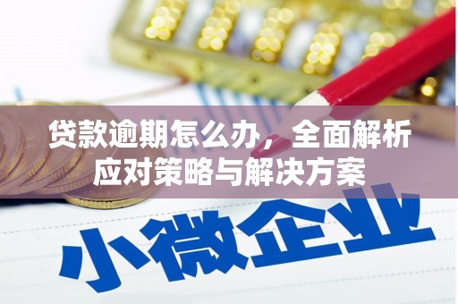 巴马贷款逾期怎么办，全面解析应对策略与解决方案