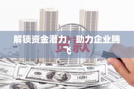 莱西解锁资金潜力，助力企业腾飞