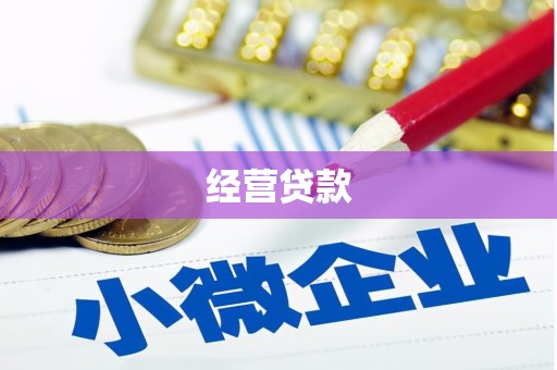 茂县经营贷款