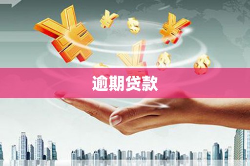 宝应县逾期贷款