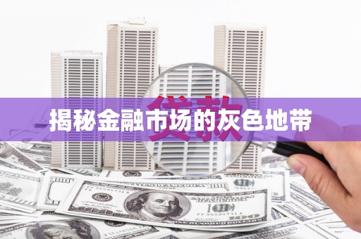 陆丰揭秘金融市场的灰色地带
