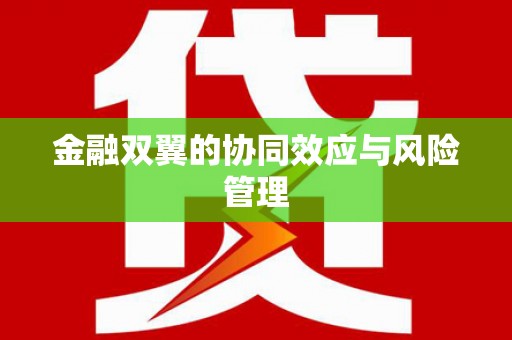 光泽金融双翼的协同效应与风险管理