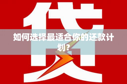 定结如何选择最适合你的还款计划？
