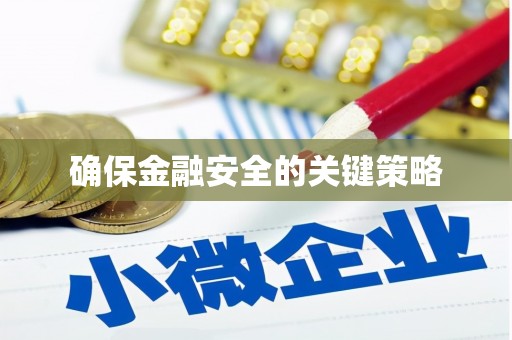 闵行确保金融安全的关键策略